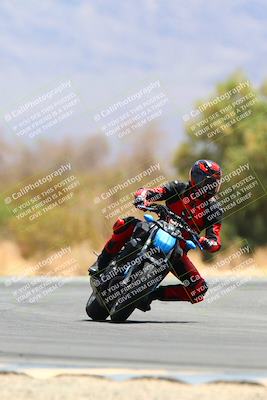 media/May-15-2022-SoCal Trackdays (Sun) [[33a09aef31]]/Turn 7 (1145am)/